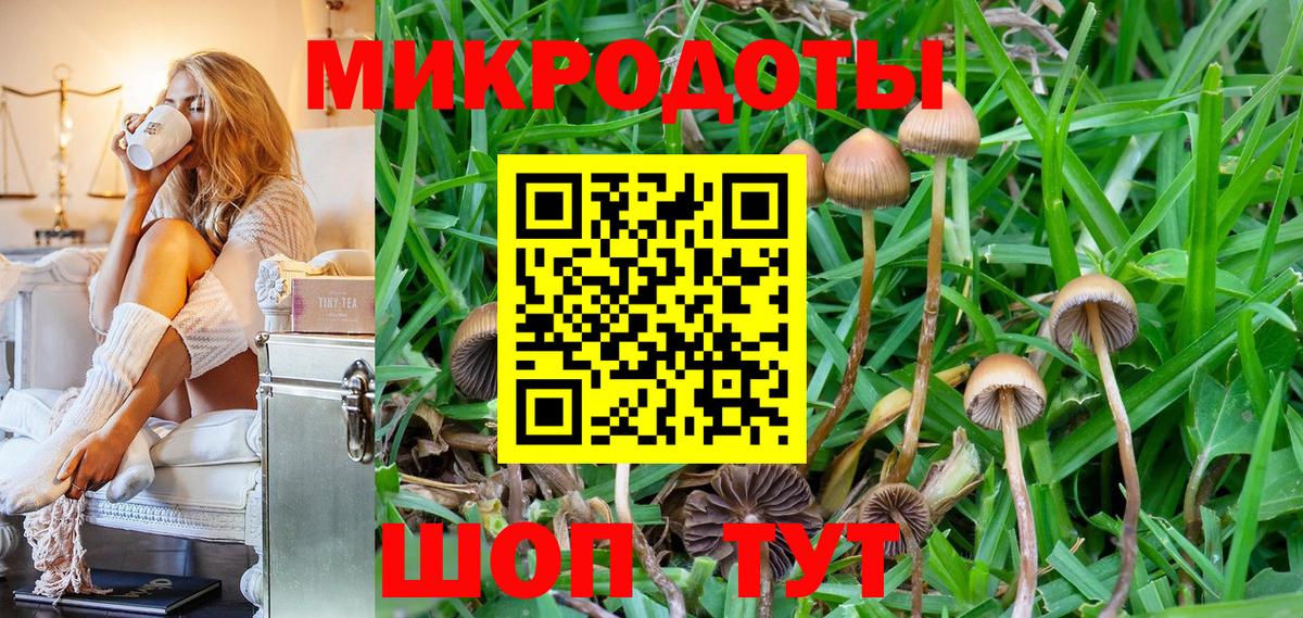 Псилоцибиновые грибы Psilocybine cubensis Старая Купавна